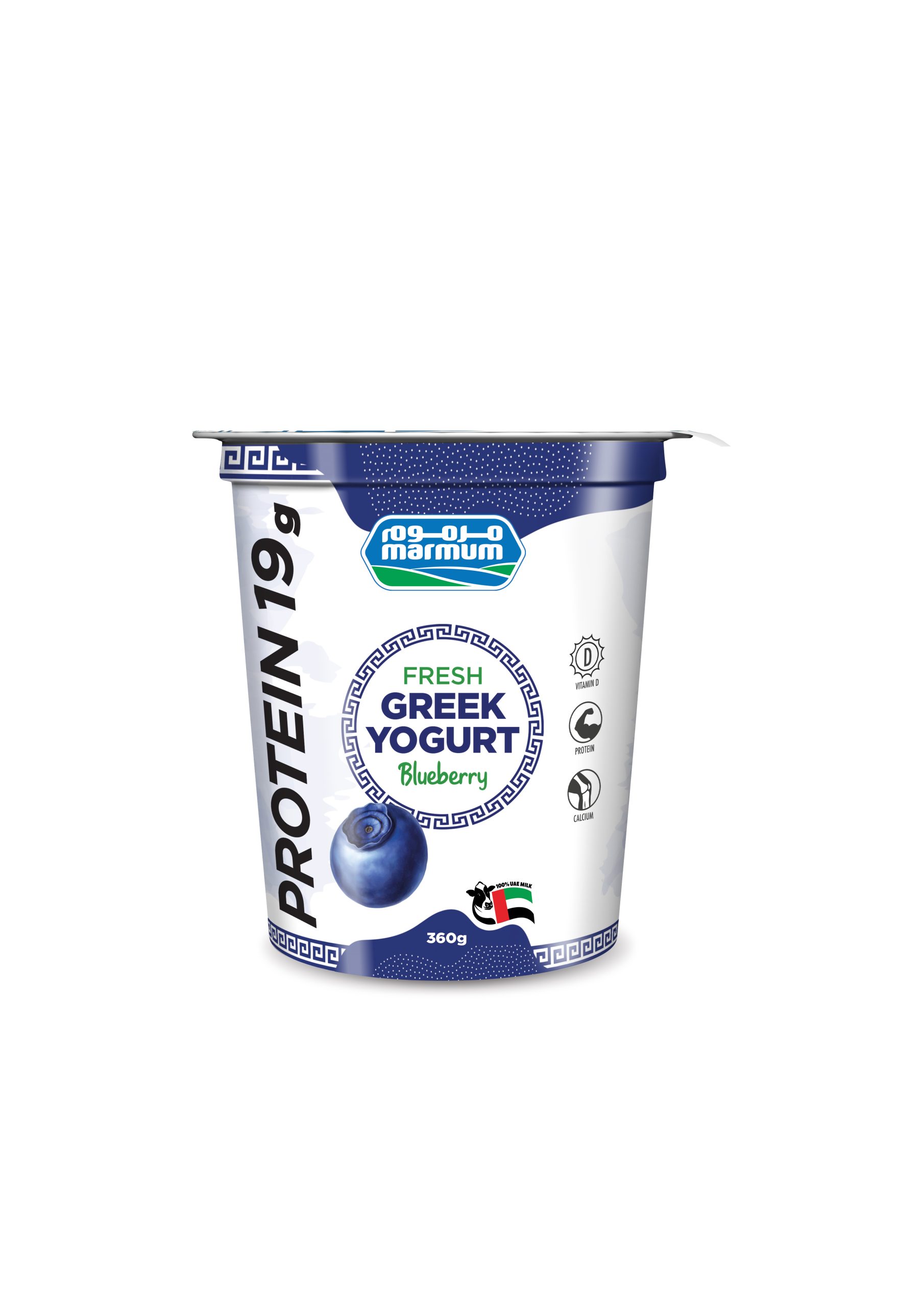 Blueberry Greek Yogurt